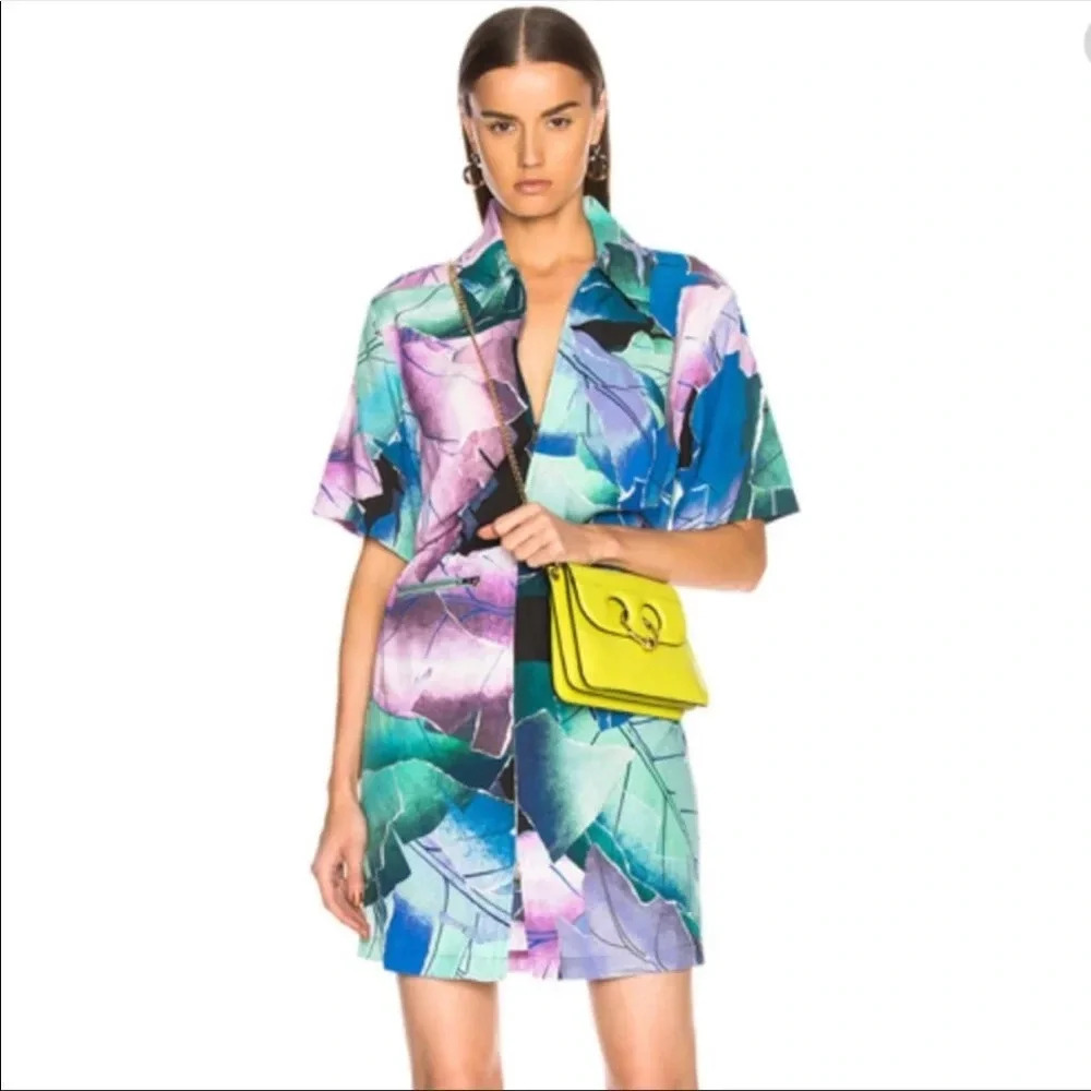 NWT ACNE STUDIOS MARDISA DRESS